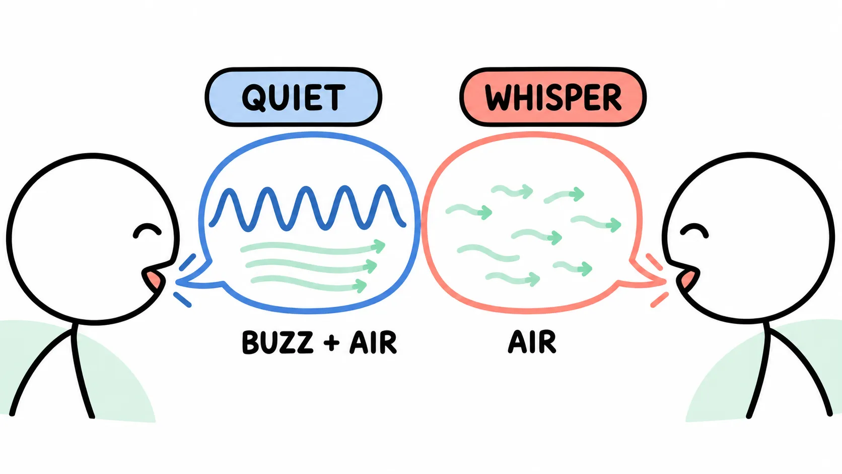 Quiet speech contains a repeating buzz and airflow, while a whisper is represented by irregular airflow without a periodic buzz
